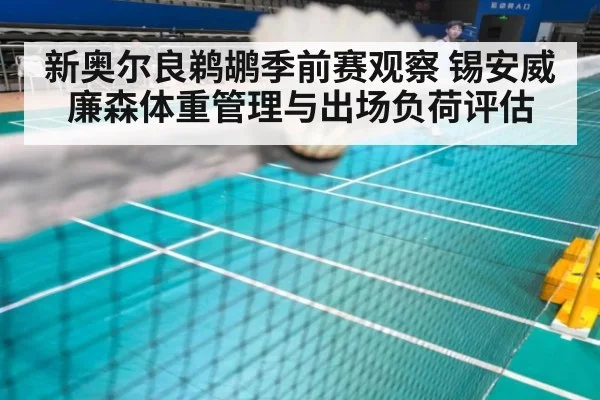 新奥尔良鹈鹕季前赛观察 锡安威廉森体重管理与出场负荷评估